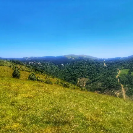 Iznad Oblaka 8 Apartment Kopaonik